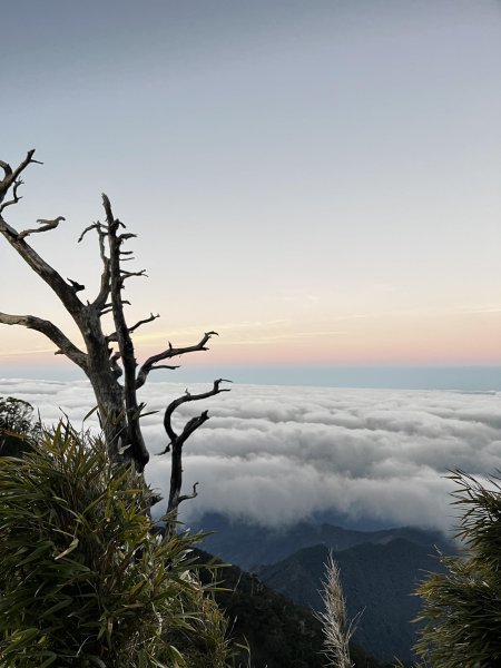 北大武稜線雲海景觀3010143
