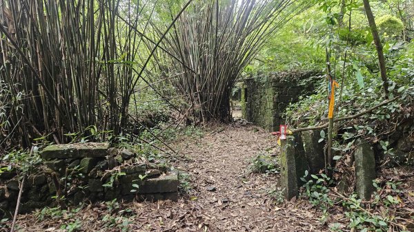20260324福卯古道北段-萊萊越嶺古道-萊萊山腰古厝群3026834
