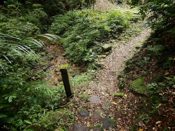 [淡蘭古道] 2026_0531 北路第一段_燦光寮古道(下)-牡丹溪畔3070960
