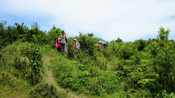 荷蘭古道,北五指山,瑪礁古道1814419