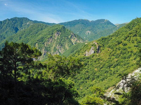 [百岳]能高越嶺逆走與奇萊南峰1042670