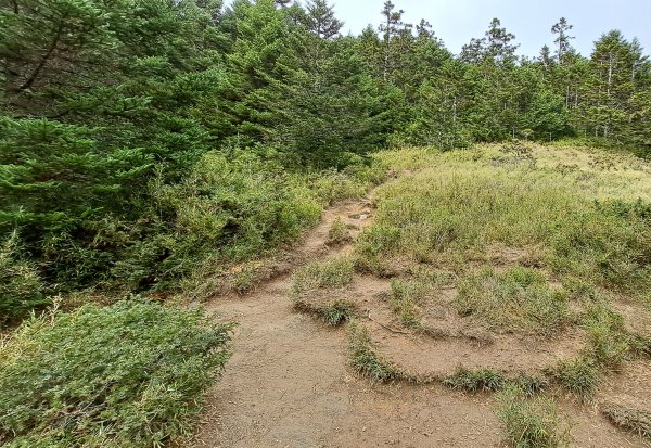 合歡西峰單攻1216886