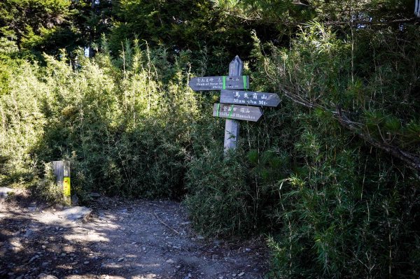 志佳陽大山2906141