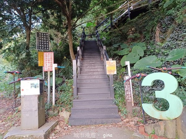 【台中北屯】第一次遇上大坑步道群起霧。 大坑三號步道2695148