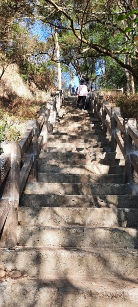 《台中》短暫暖陽｜龍井竹坑南寮步道O繞202601042976442