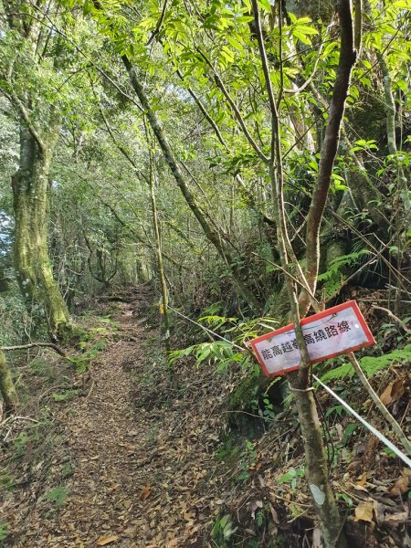 盧山六寶老大-尾上山1616378