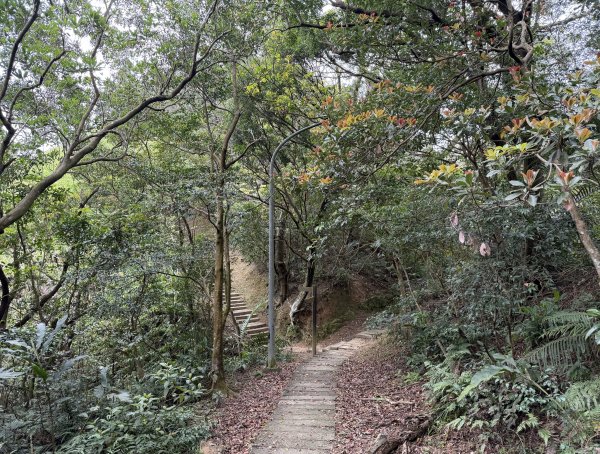 [微笑山線_第四段] 2026_0321 天上山系_三粒半3021080