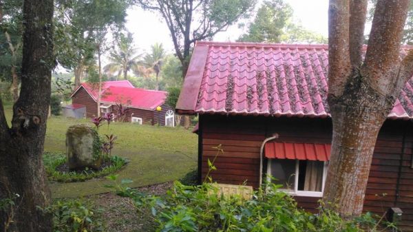 三腳南山〈H1187M〉（小百岳）294352