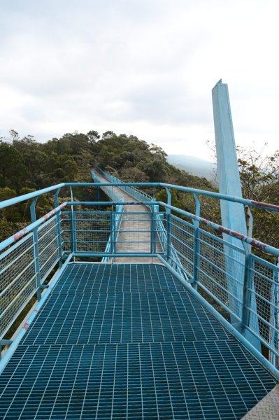 20241208三銅縱走(三義山-三通嶺-長道坑山-九華山)2664879