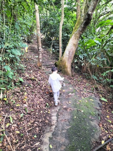 關西赤柯山、東獅頭山步道2262824