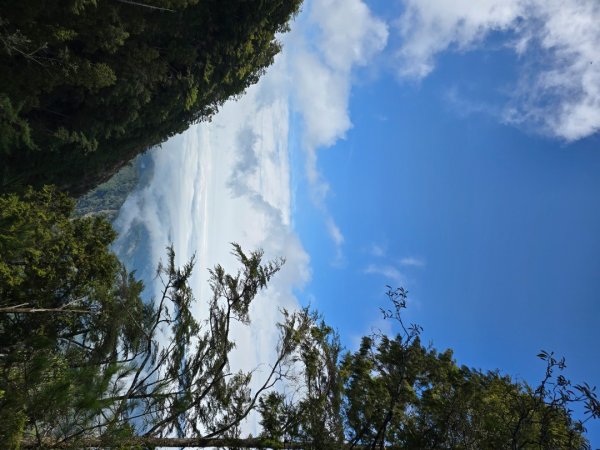 鳶嘴山+稍來神木2709896
