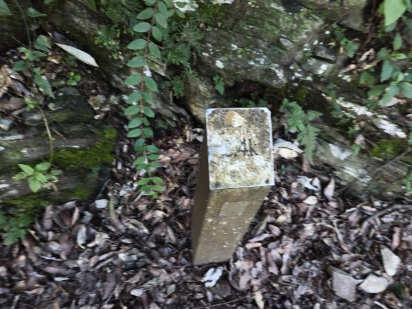 [玉山尋寶任務-07/12] 2025_0824 八通關雲龍瀑布步道2870537