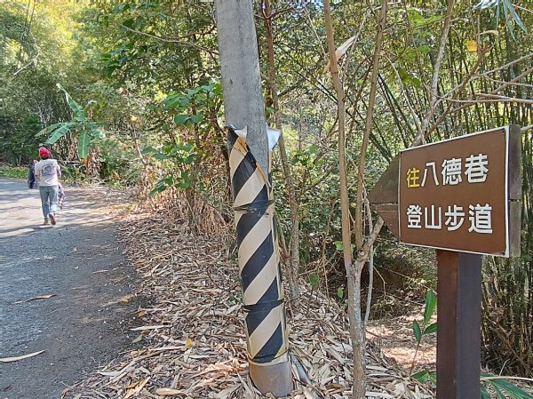 霧峰八德巷登山步道(至296峰)2443417