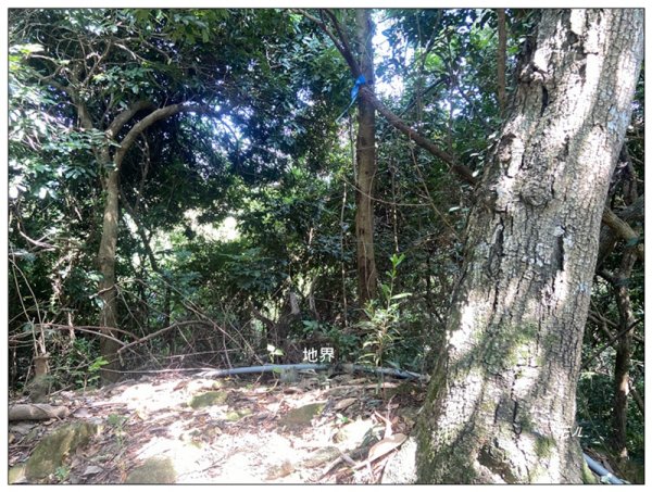 南觀音山 (小百岳) A上B下 O繞一圈3131728