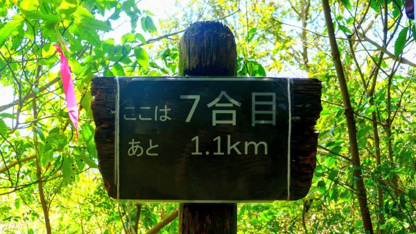 鹿兒島開聞岳,龍宮神社3027943