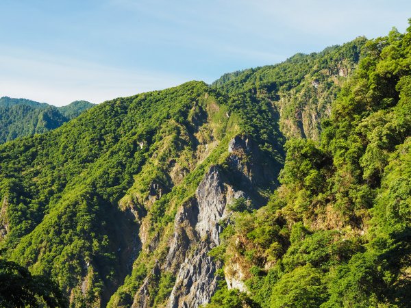 [百岳]能高越嶺逆走與奇萊南峰1042662