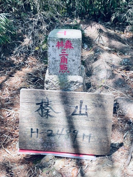 20260531觀霧榛山登山步道（榛山北峰+主峰+環形步道）3071480