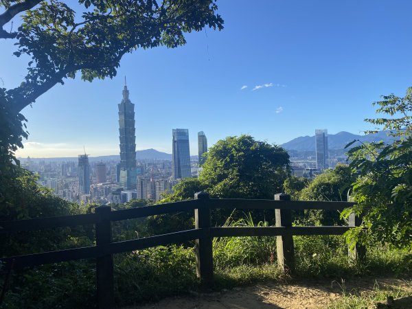 【四獸山 Short】虎豹象先行！獅山封閉中，等新步道開箱再相見2888858