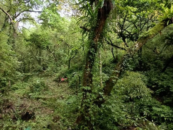 平溪區三功大厝+番子坑山+千階嶺步道O型2781115