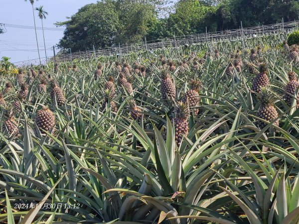 松柏坑山小百岳2729143