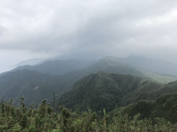 桃源谷草嶺古道線135396