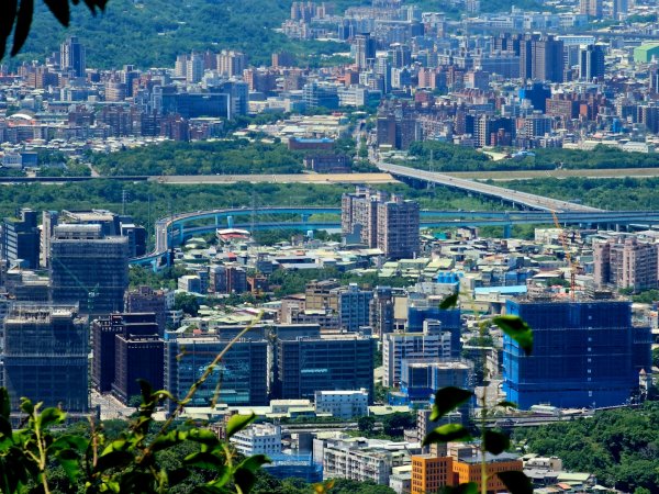 (天上山系)望月亭桐花-2025微笑山線大縱走尋寶集章任務2870355