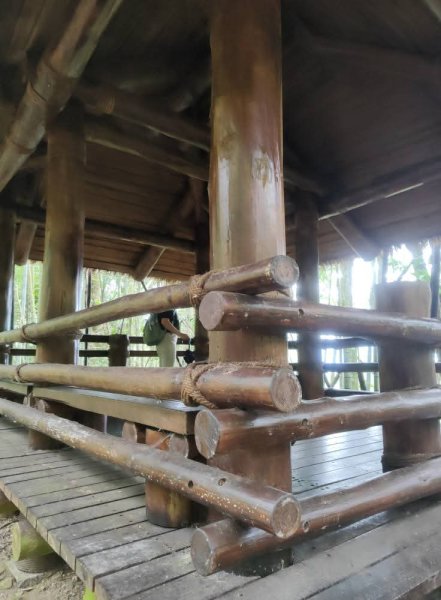 1140830迷糊步道3099563