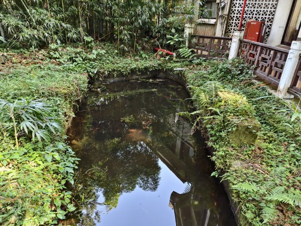 [百山百鳥尋旅-05/15] 2025_0830 溪頭賞鳥步道_賞鳥步道2875028