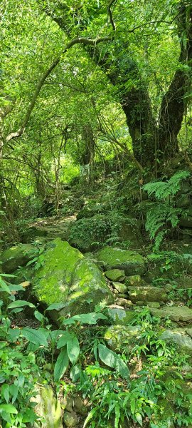 2020-0921虎山溪九五峰1108487