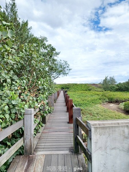 【新竹新豐】台灣唯一建有觀賞步道的生態保護區。 新豐紅樹林生態保護區2381806