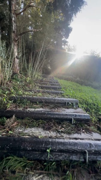 小百岳-057嘉義梅山-梨子腳山-太平雲梯2607207