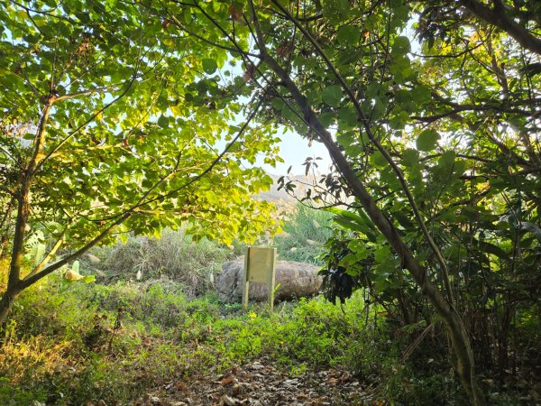 2025-12-30  南化牛港嶺點將石2972713