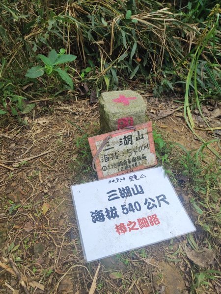 苗栗獅潭鳴鳳古道2929623