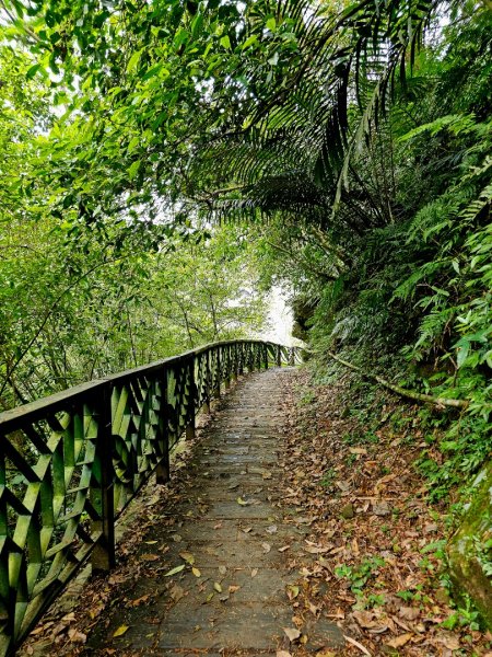 2025年臺北大縱走第七段：世界山莊至飛龍步道政大後山2757376