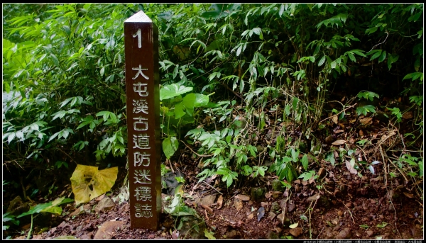 小觀音山群峰、大屯溪古道258565