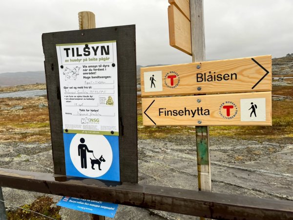 Norway-Myrdal-VATNAHALSEN HOTEL-湖邊健行2917765