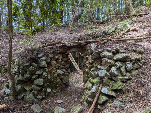 孕婦第一次的谷關七雄馬崙山2991632