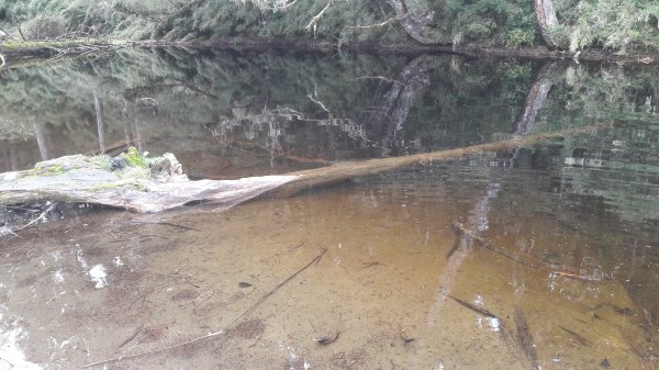 楓之谷~天巒池~武法奈尾山497577