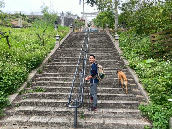 田中森林步道.赤水崎步道.龍過脈步道【都是友善石虎的好地方!!】2766692