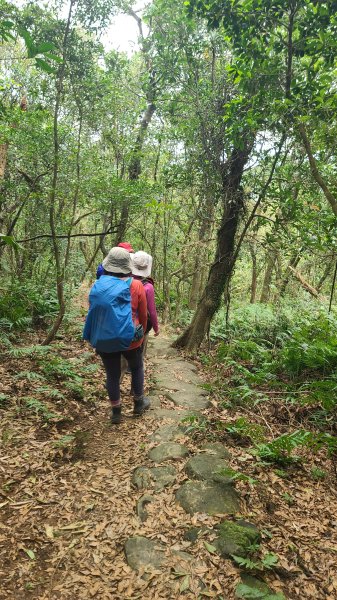 2025-01232淡蘭古道北二段(燦光寮古道到澳底)2696658