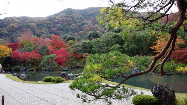 日本京都嵐山652018