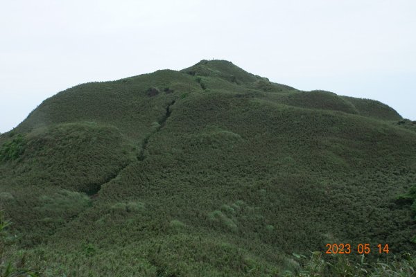 臺北 北投 七星山主峰、東、南、北峰2150431