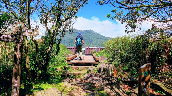 紅壇上紗帽山,花卉中心