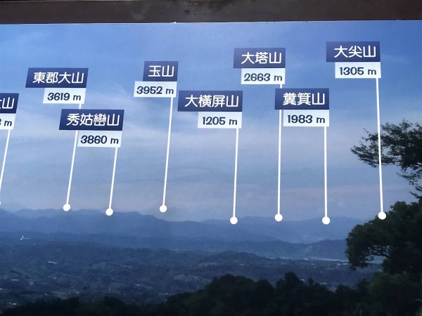 薑麻園桐花步道202006271965406