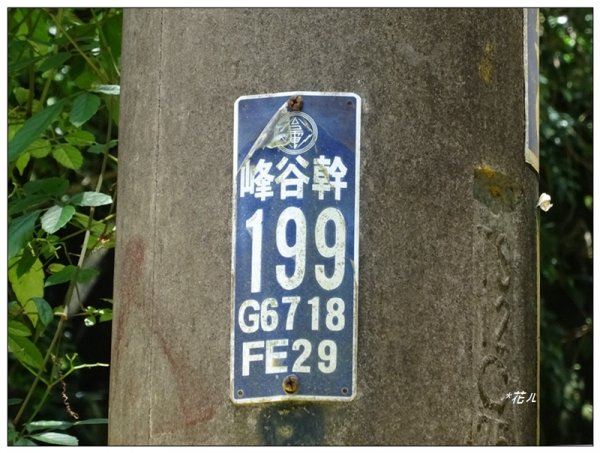 青桐林山(本雙溪嘴山、北坑山)1718466