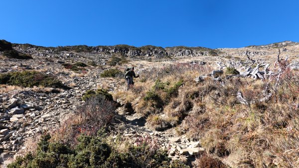 雪山黑森林直上甘木林山登雪主雪南過志佳陽下馬武霸兩日C型2758166