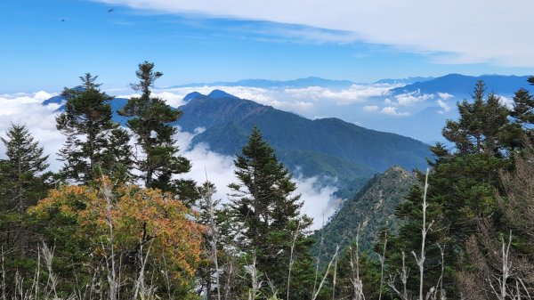 郡大山，郡大山北峰，望鄉山，白冷山，頭嵙山，黑山北峰，大坑4號步道，大坑3號步道，彰化挑水古道1839104