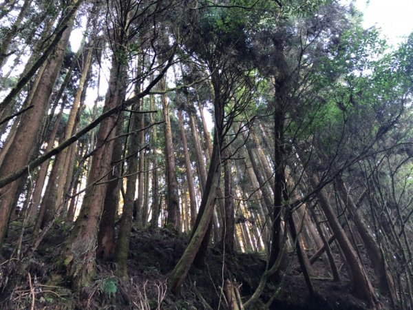 石山、石山引水道847994