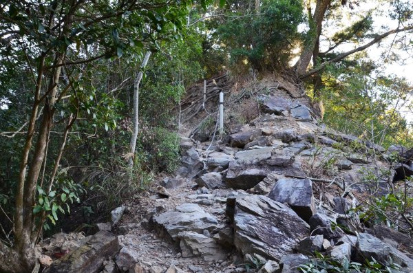 唐麻丹山 - 裡冷登山口 (順登 : 東勢山)2462016