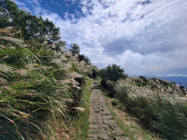 苗圃-七星山主,東峰-大屯山主峰-二子坪-202410262859676